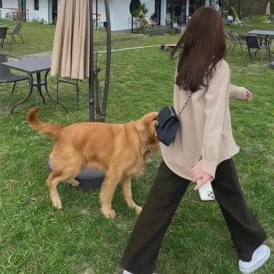 疯狂世家