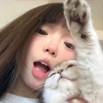 极地熊踪
